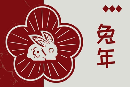 双人紫微合盘详解,八字测算紫微命盘,命命盘,命盘夫妻宫变动